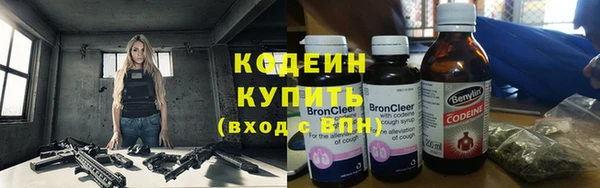 прущие грибы Касимов