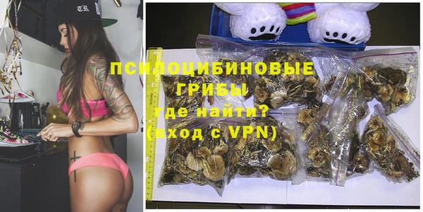 прущие грибы Касимов